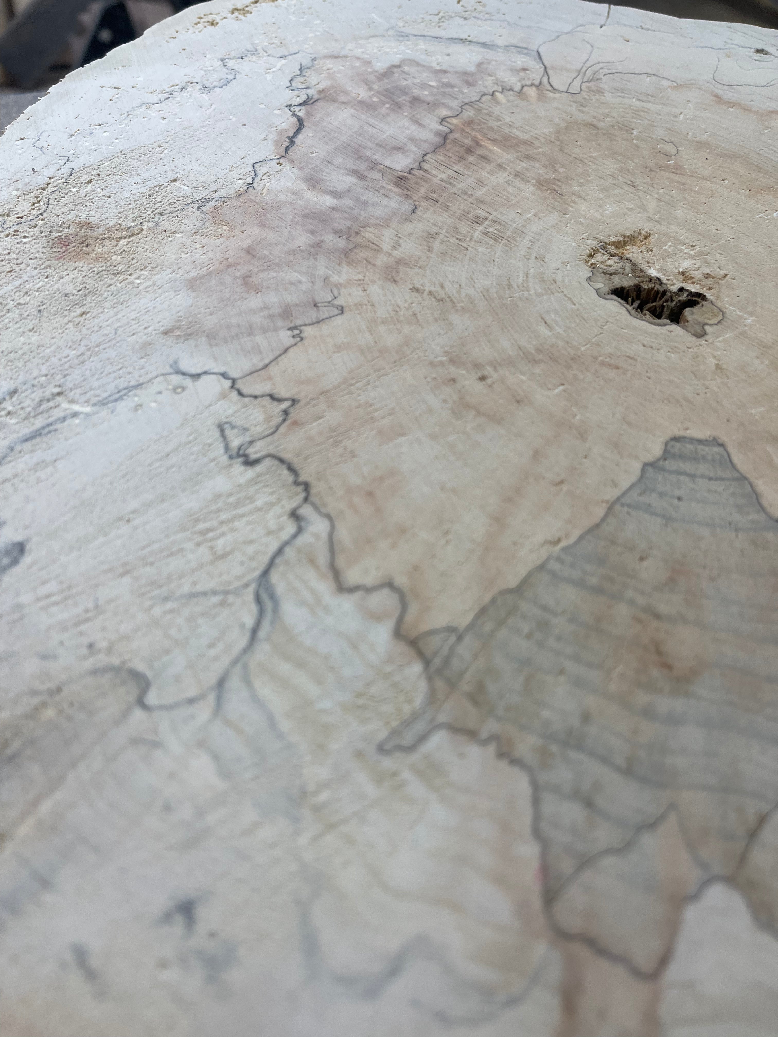 Spalted Elder Maple Cookies