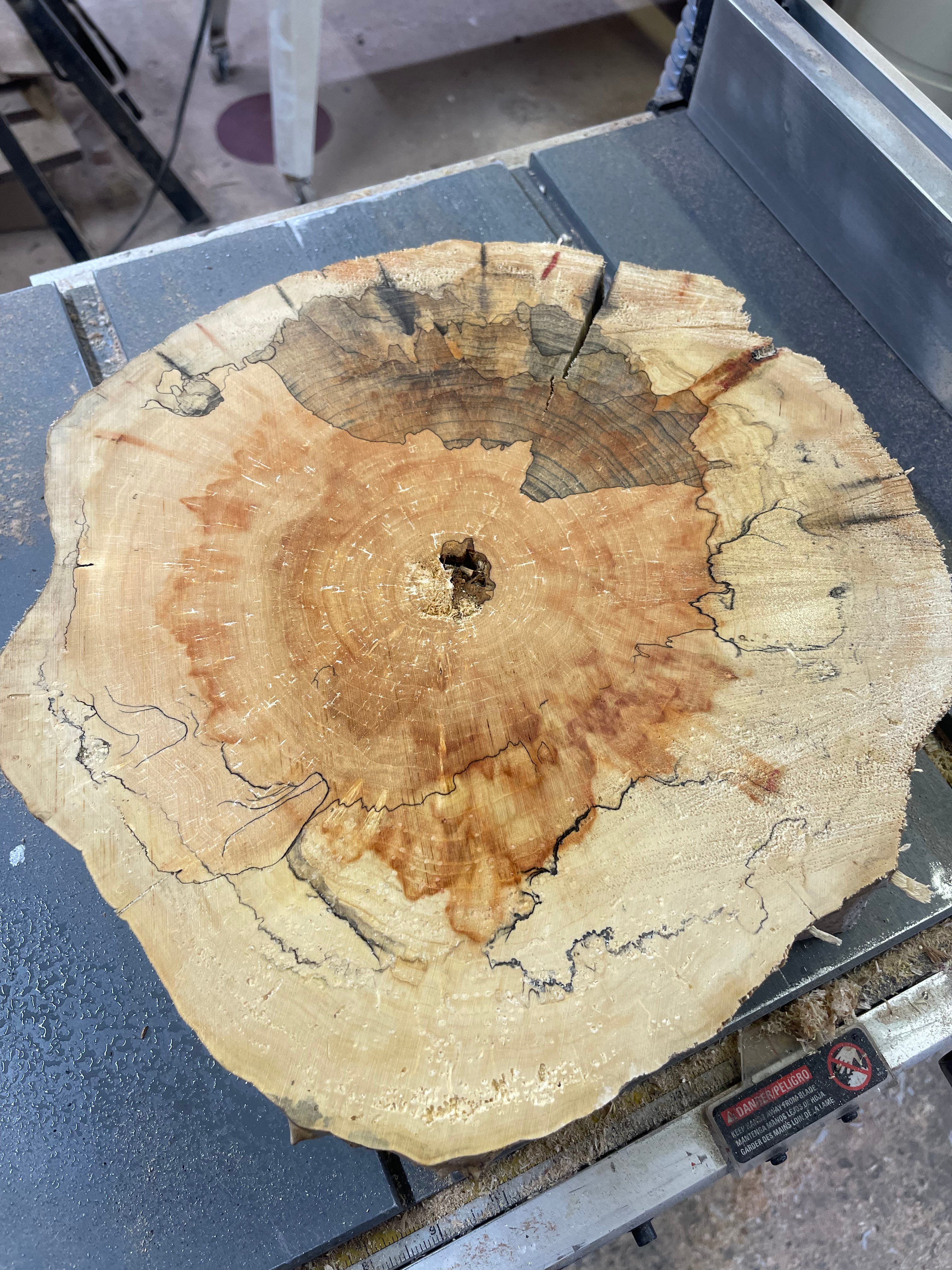 Spalted Elder Maple Cookies